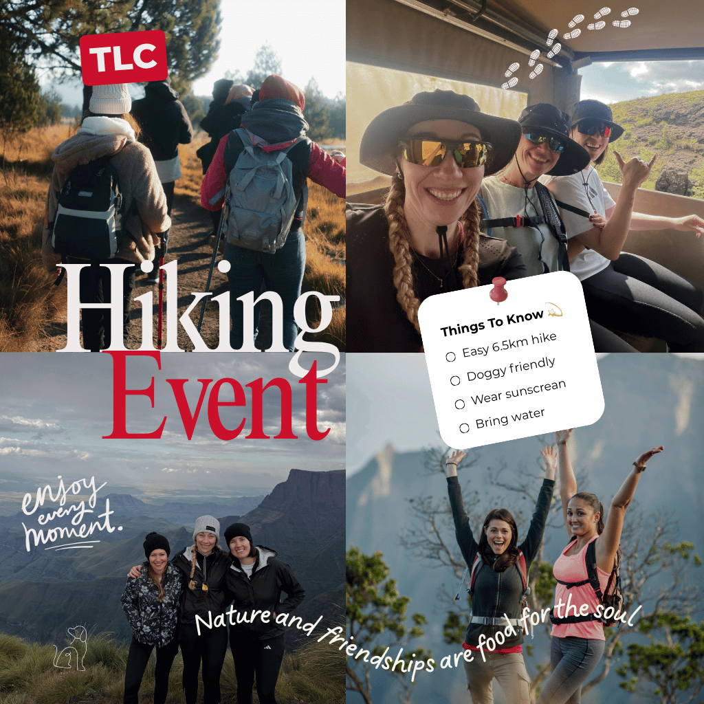 Easy 6.5km Dog-Friendly Sunday Hike in Pretoria | Hike Only